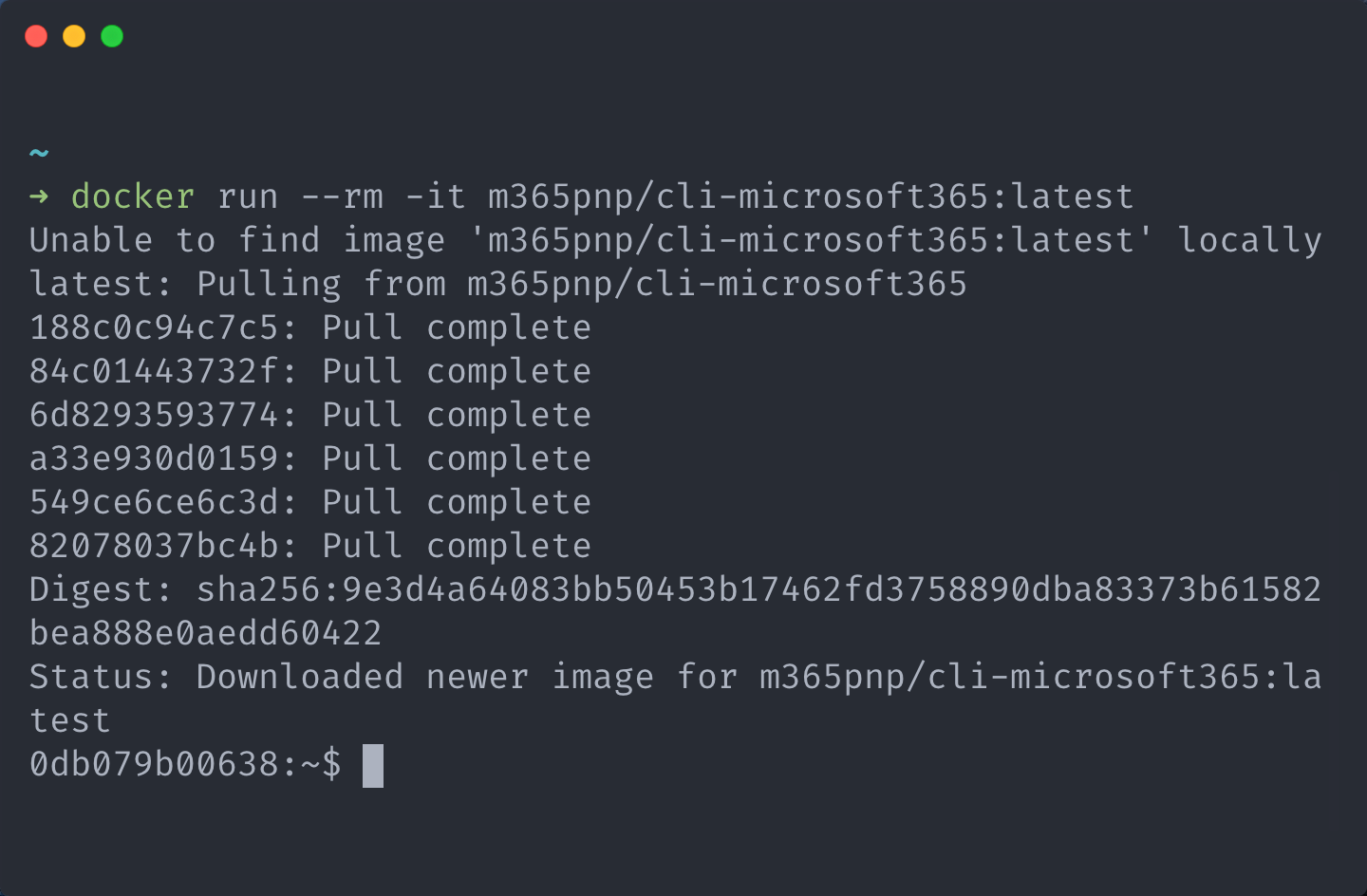 Terminal displaying a bash interactive terminal session inside a docker container using m365pnp/cli-microsoft365:latest image after being downloaded for the first time